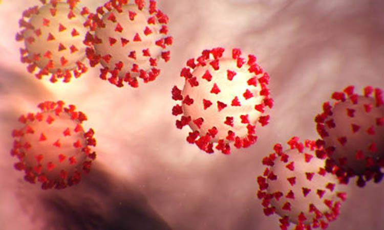 corona virus 2019